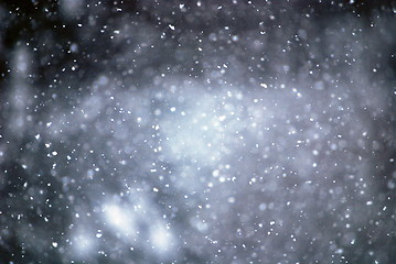 Image showing Snowflakes