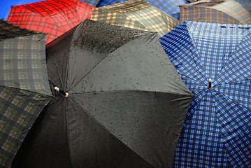 Image showing Raindrops on a umbrella