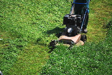 Image showing green grass