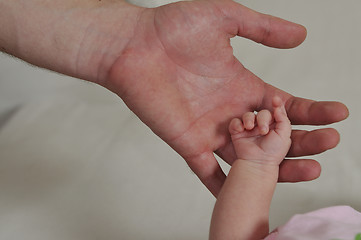 Image showing big man hand holding small baby hand