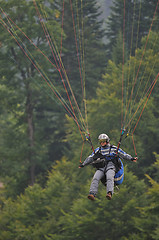 Image showing paragliding sport