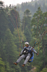 Image showing paragliding sport