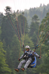 Image showing paragliding sport