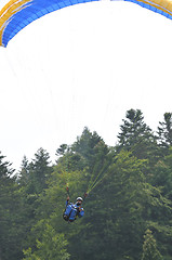 Image showing paragliding sport