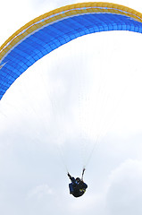 Image showing paragliding sport