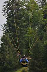 Image showing paragliding sport