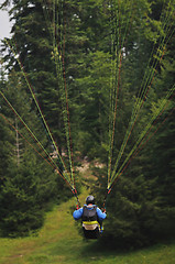 Image showing paragliding sport