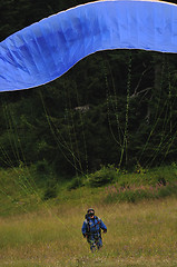 Image showing paragliding sport