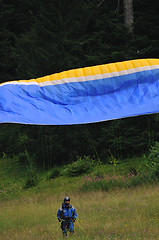 Image showing paragliding sport
