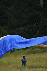 Image showing paragliding sport