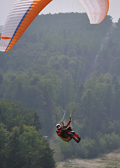 Image showing paragliding sport