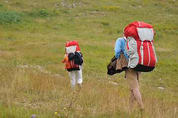 Image showing paragliding sport