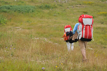 Image showing paragliding sport