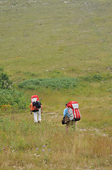 Image showing paragliding sport