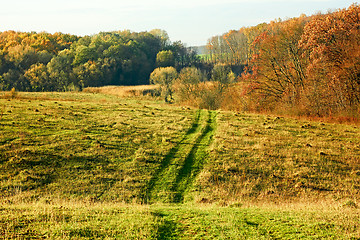 Image showing Autumn rural landscape 