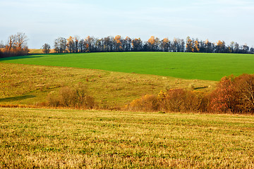 Image showing Fields and meadows in autumn
