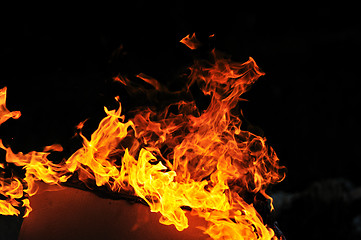 Image showing wild fire