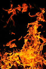 Image showing wild fire