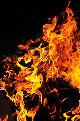 Image showing wild fire