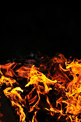 Image showing wild fire