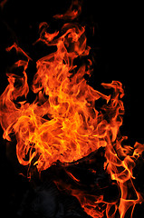 Image showing wild fire