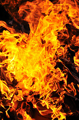 Image showing wild fire