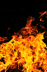 Image showing wild fire