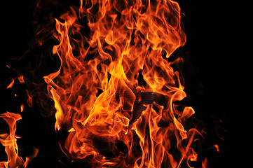 Image showing wild fire