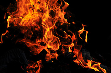 Image showing wild fire