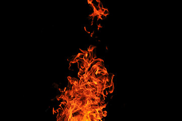 Image showing wild fire