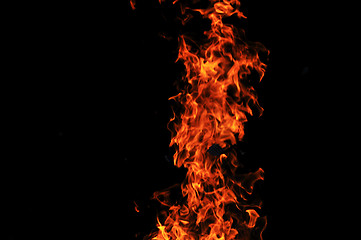 Image showing wild fire