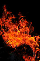 Image showing wild fire