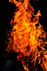 Image showing wild fire