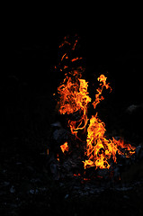 Image showing wild fire