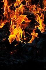 Image showing wild fire