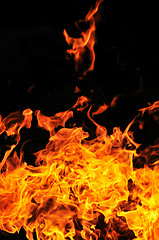 Image showing wild fire