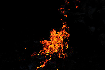 Image showing wild fire