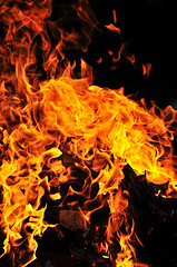 Image showing wild fire