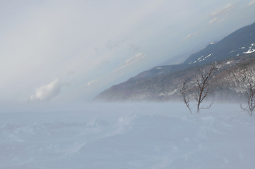 Image showing winter landscape