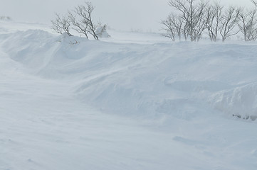 Image showing winter landscape