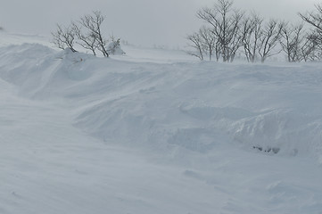 Image showing winter landscape