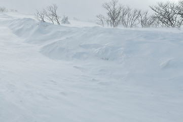 Image showing winter landscape