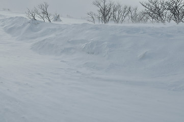 Image showing winter landscape