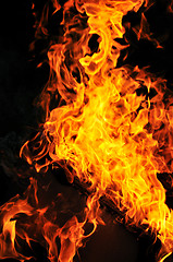 Image showing wild fire