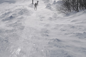 Image showing winter landscape