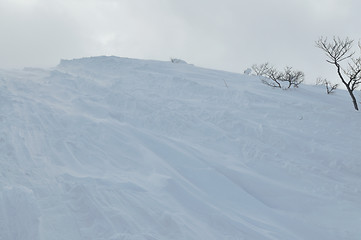 Image showing winter landscape