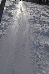 Image showing winter landscape