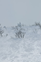 Image showing winter landscape