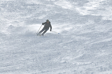 Image showing winter sport