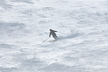 Image showing winter sport